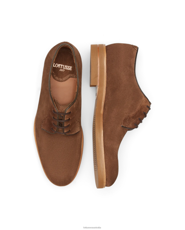 Men Lottusse Footwear Brown NT4PP109 Niza Suede Calf Derby